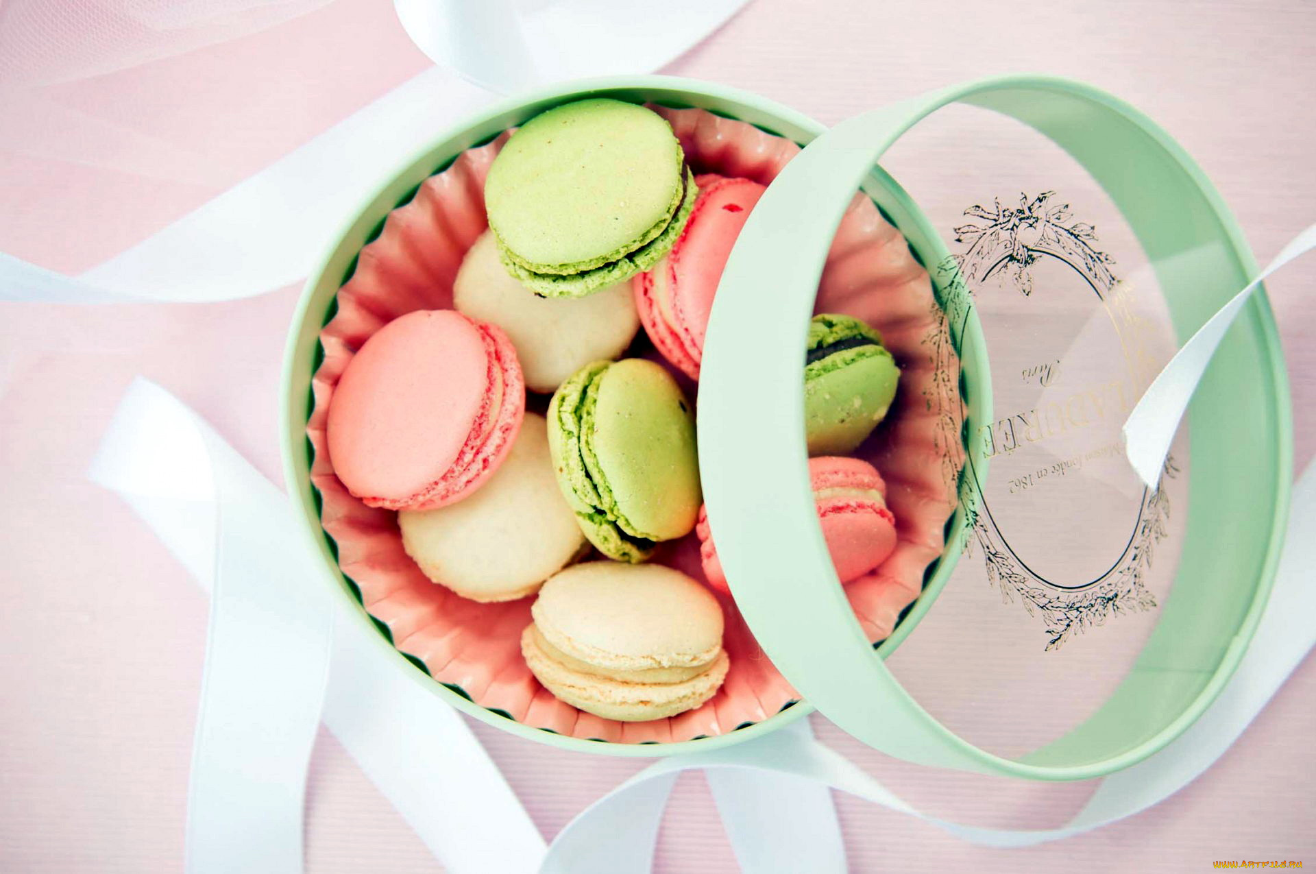 macaron-box-packaging